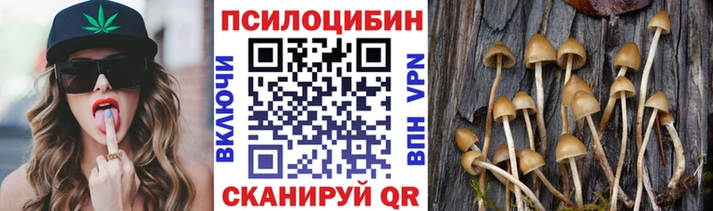 МЕГА как войти  Тогучин  darknet Telegram  Псилоцибиновые грибы MAGIC MUSHROOMS 